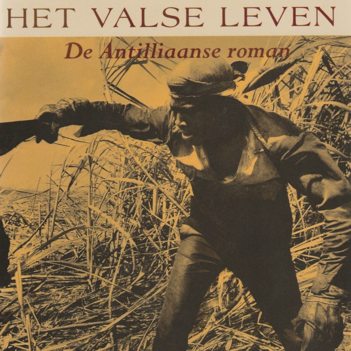 Het valse leven - De Antilliaanse roman -
