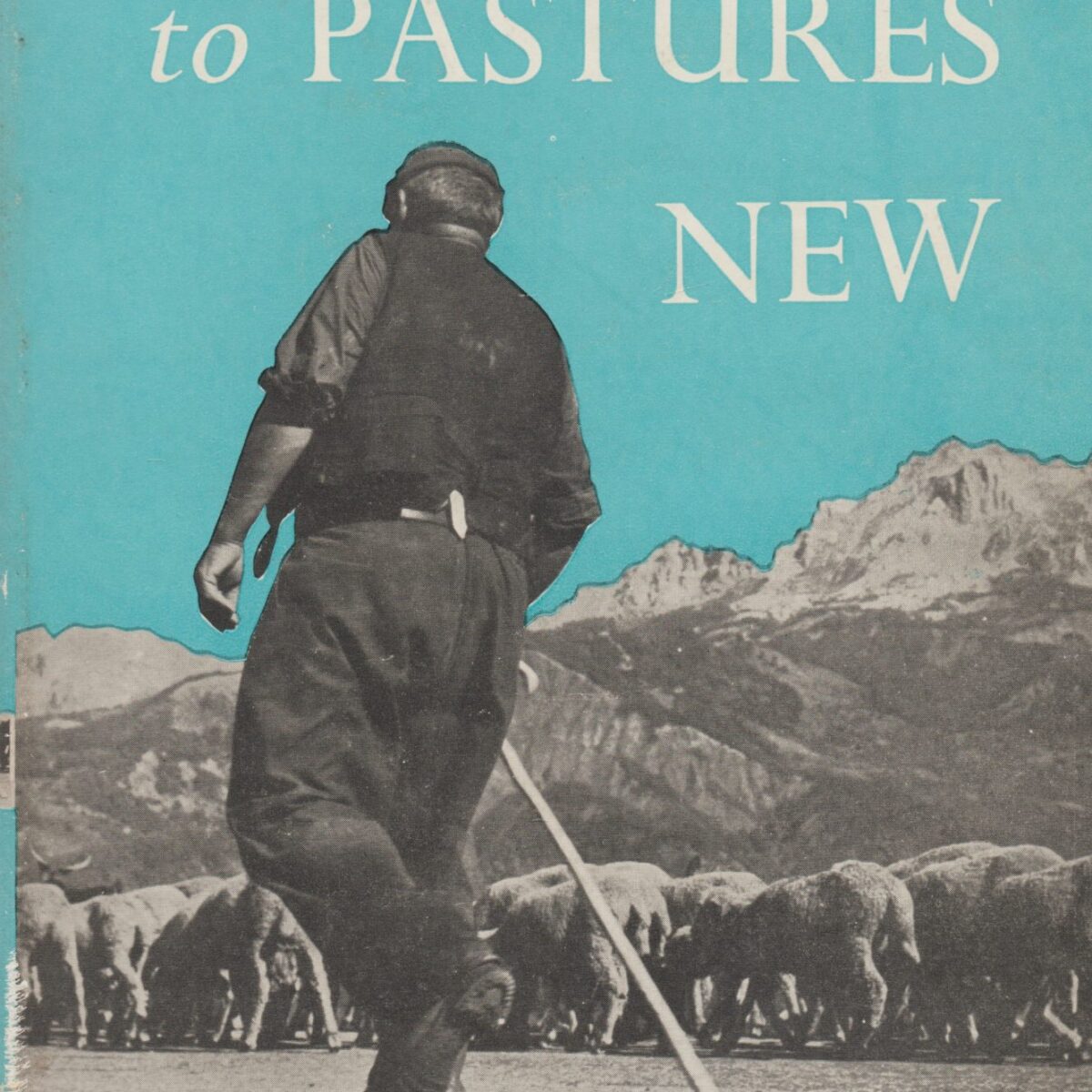 On the Road to Pastures New