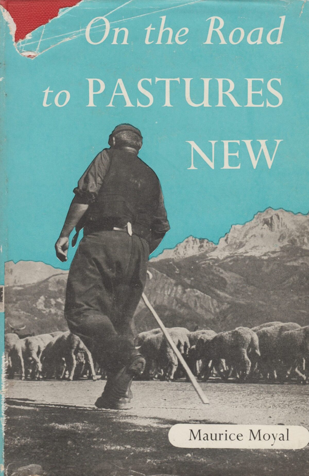 Scan_20170812-4 On the Road to Pastures New