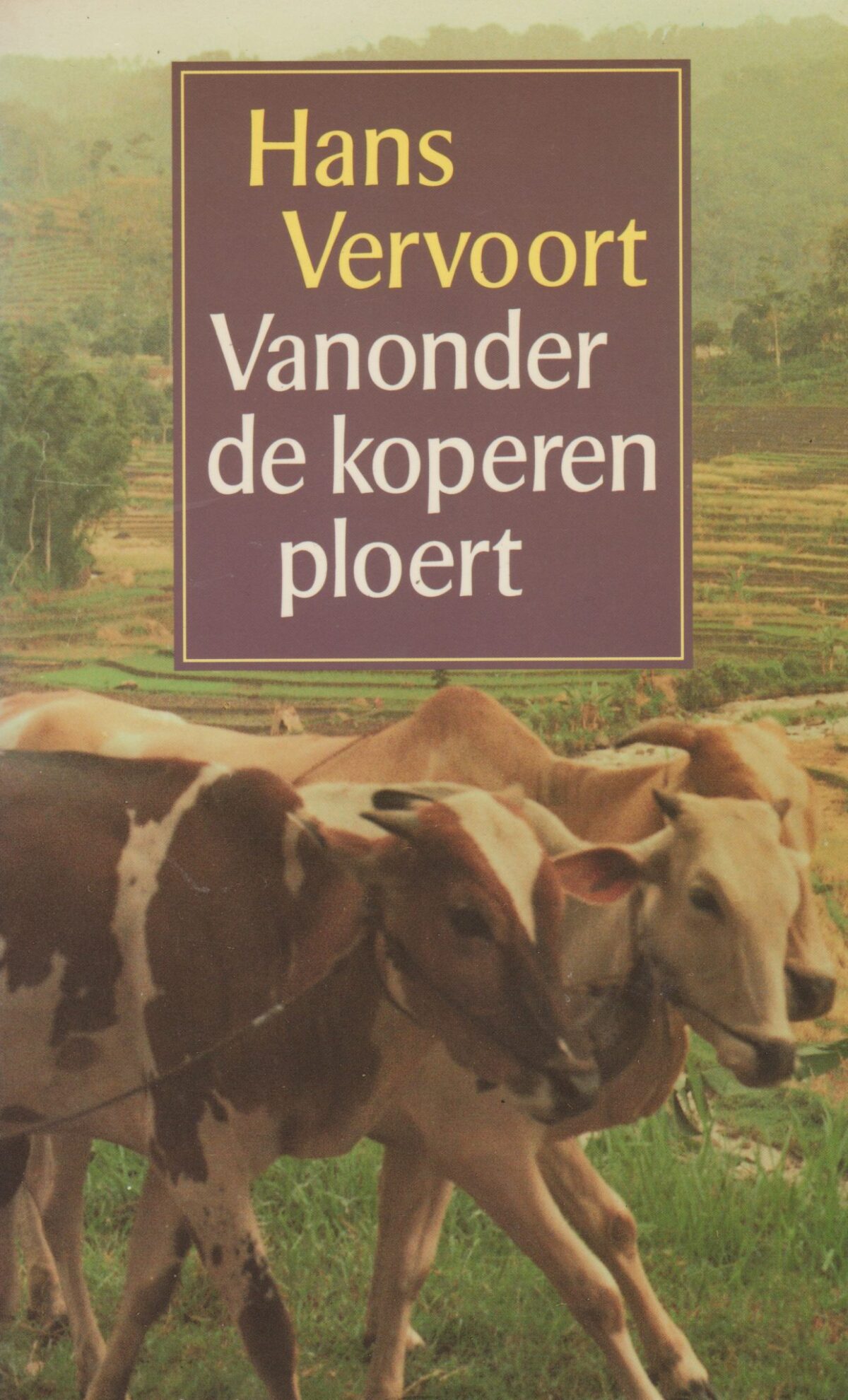 Scan_20170901-19-scaled Vanonder de koperen ploert