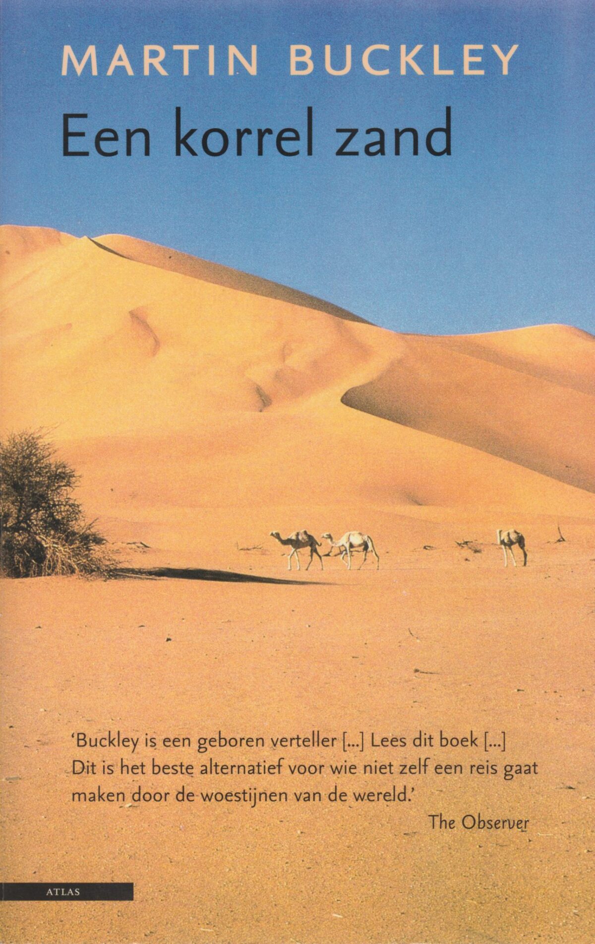 Scan_20170919-2-scaled Een korrel zand