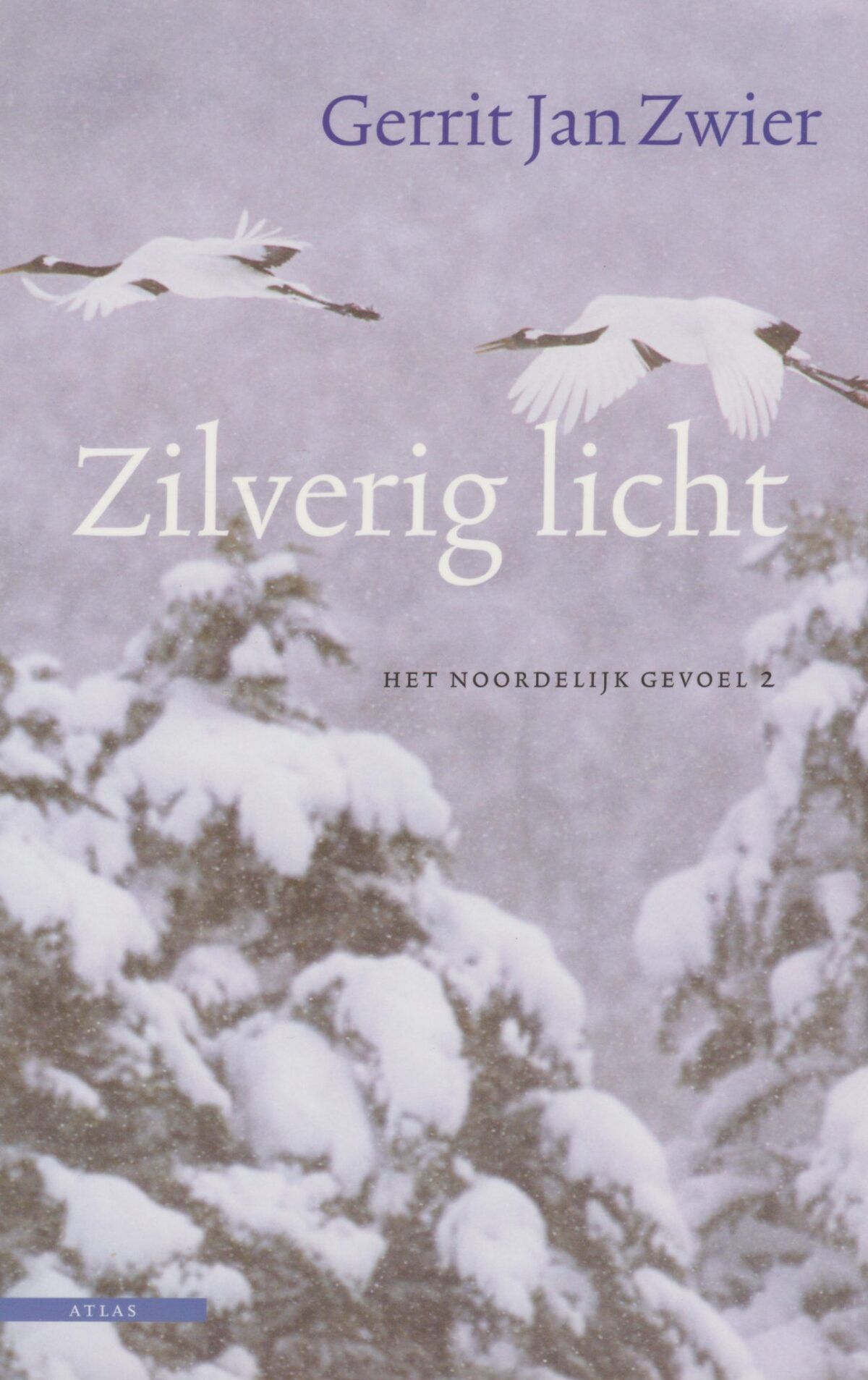 Scan_20171001-2-scaled Zilverig licht