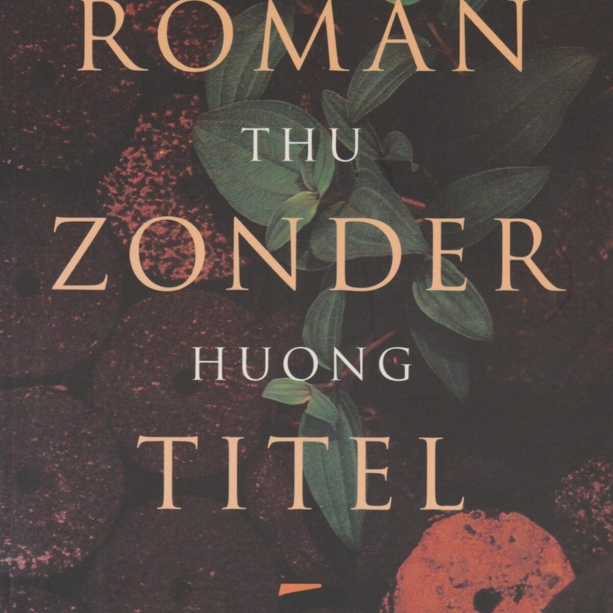 Roman zonder titel