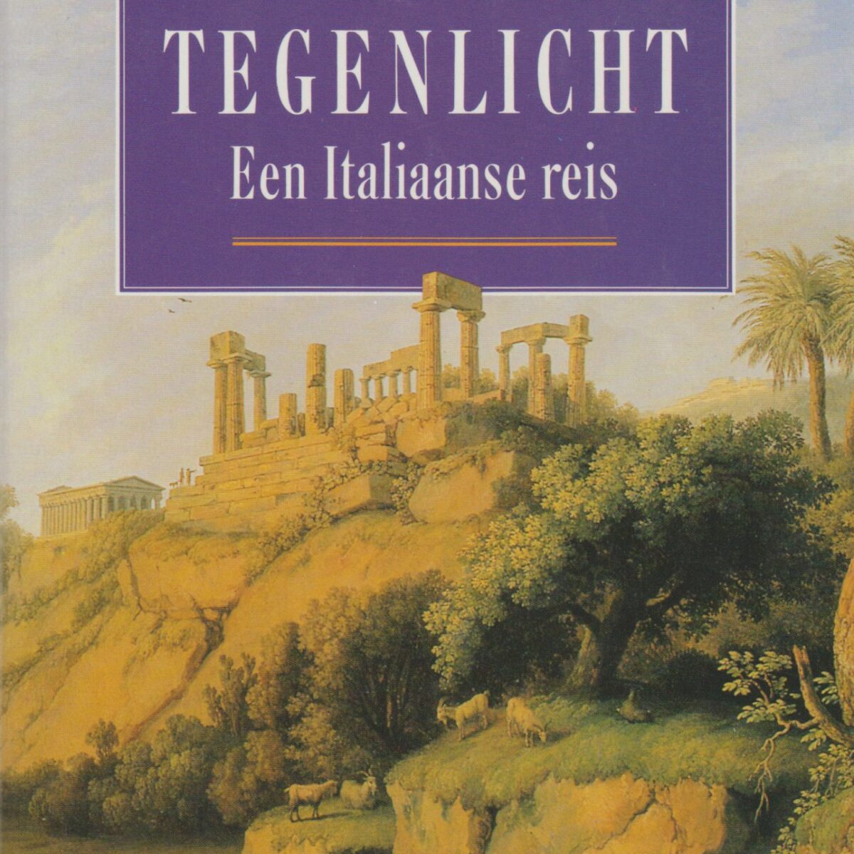 Tegenlicht