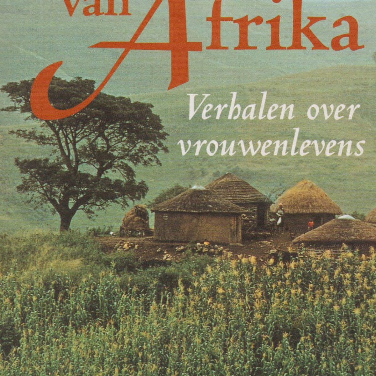 Dochters van Afrika - Verhalen over vrouwenlevens -