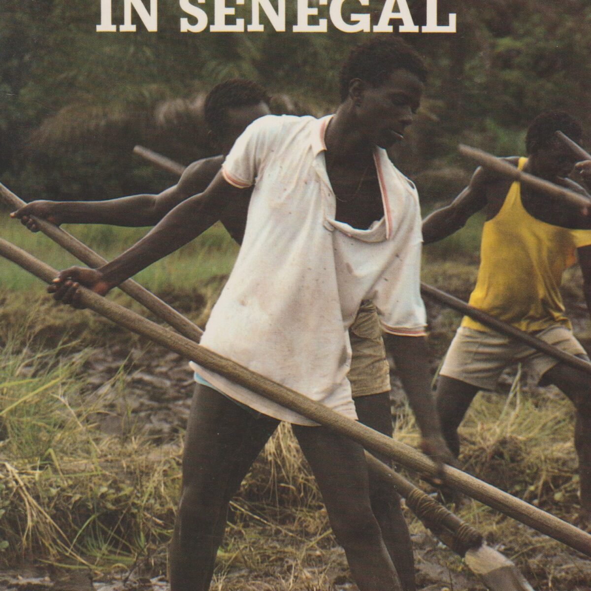 Eenzaam in Senegal