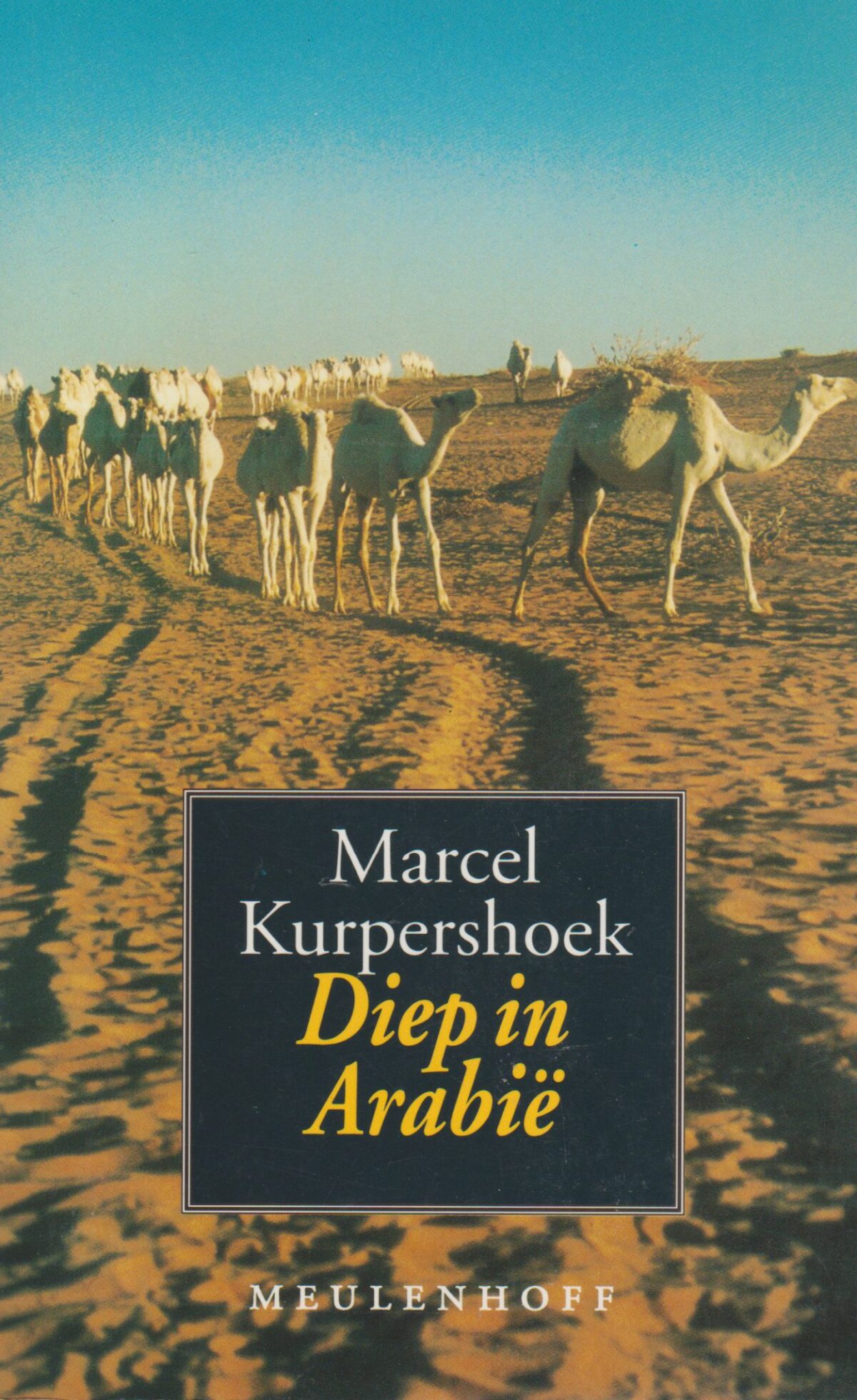 Scan_20181120-9 Diep in Arabië