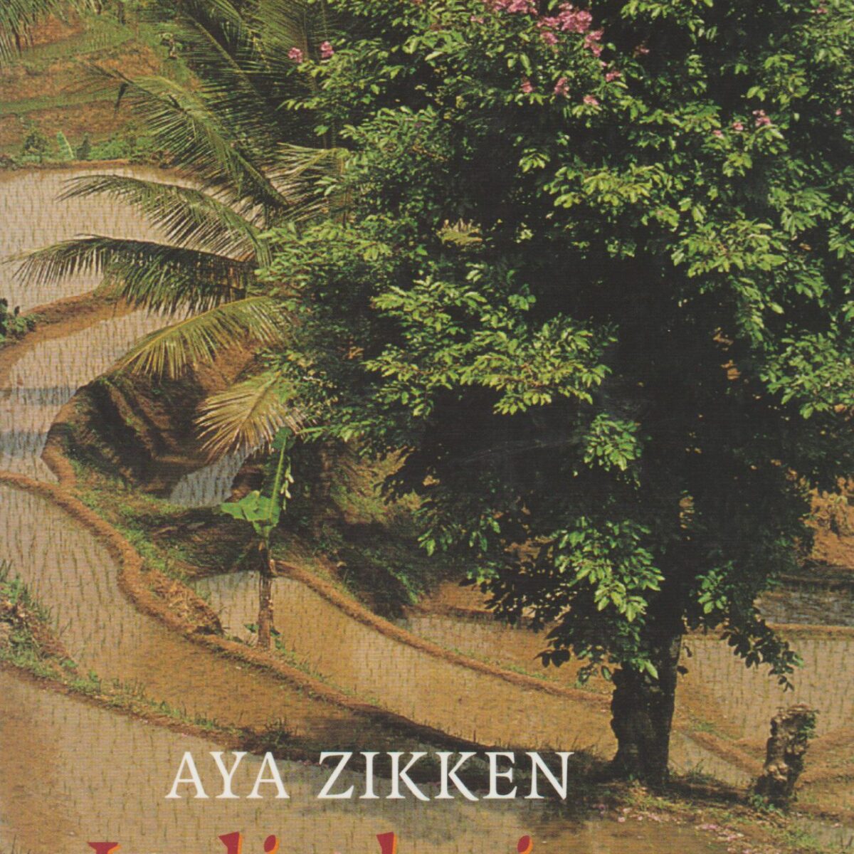 Indische jaren - Het verhaal van Tjitsaroea -