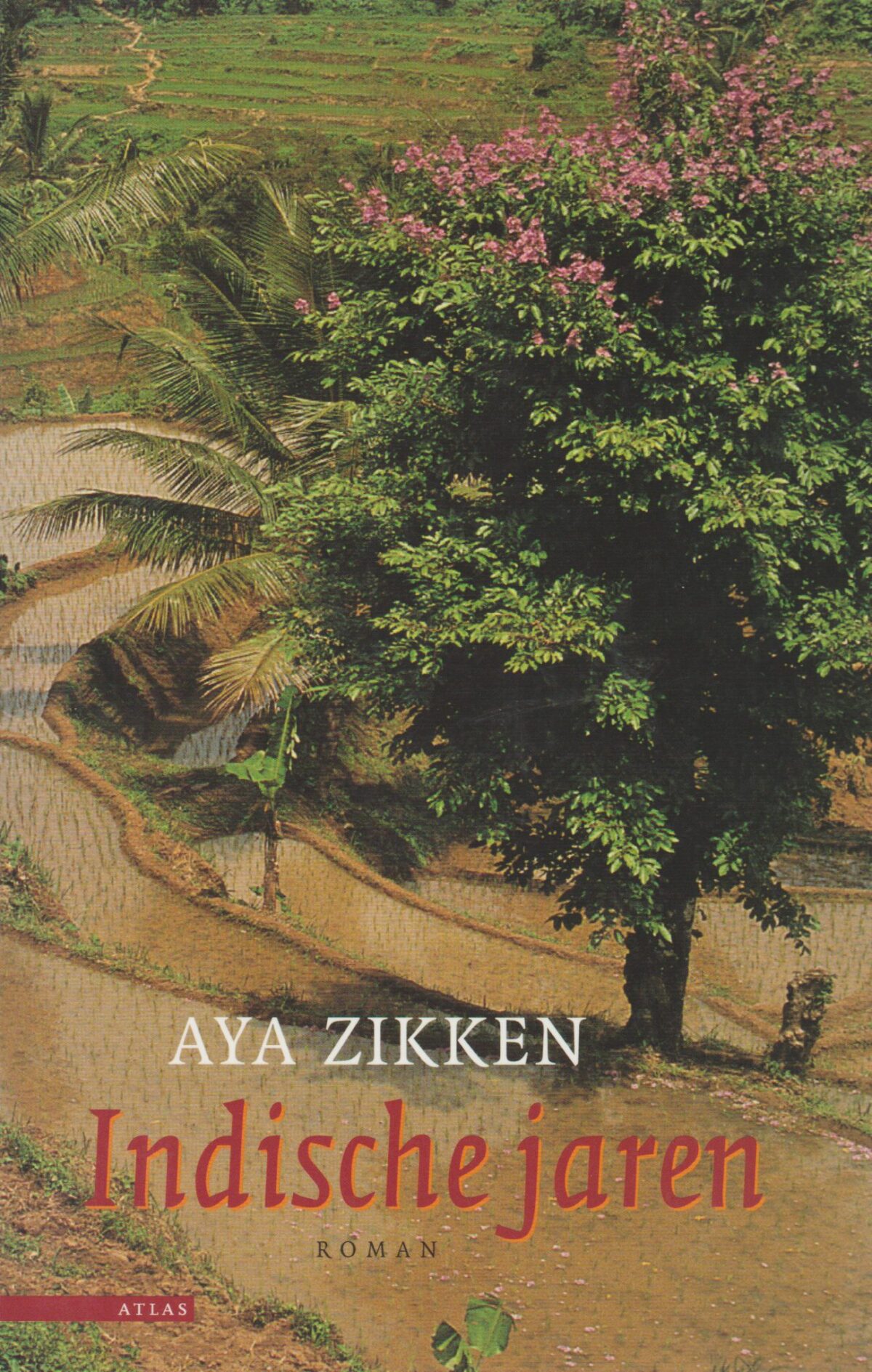 Scan_20181125-4 Indische jaren - Het verhaal van Tjitsaroea -