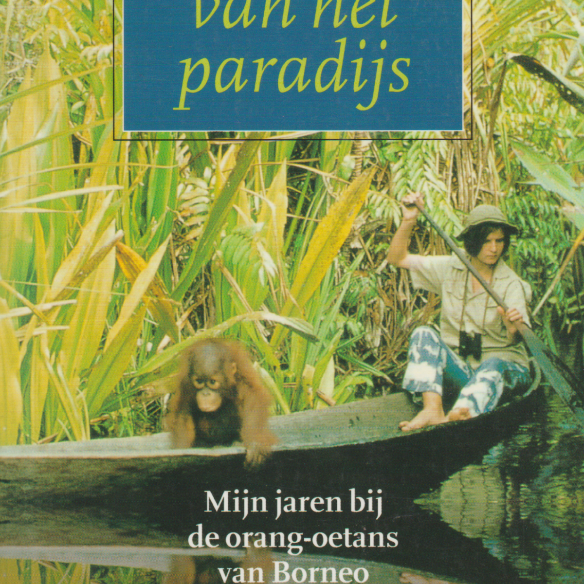 De spiegel van het paradijs