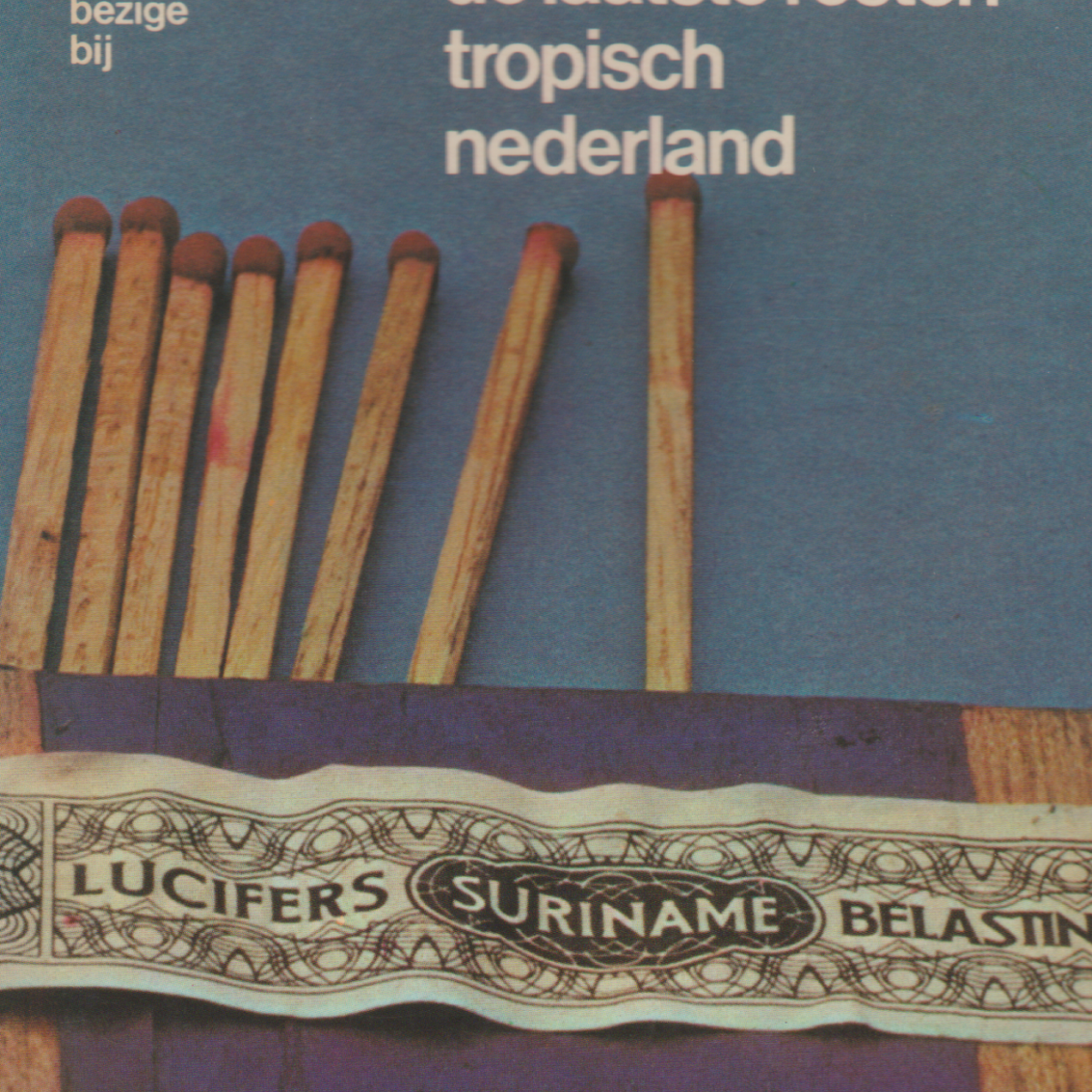 de laatste resten tropisch nederland