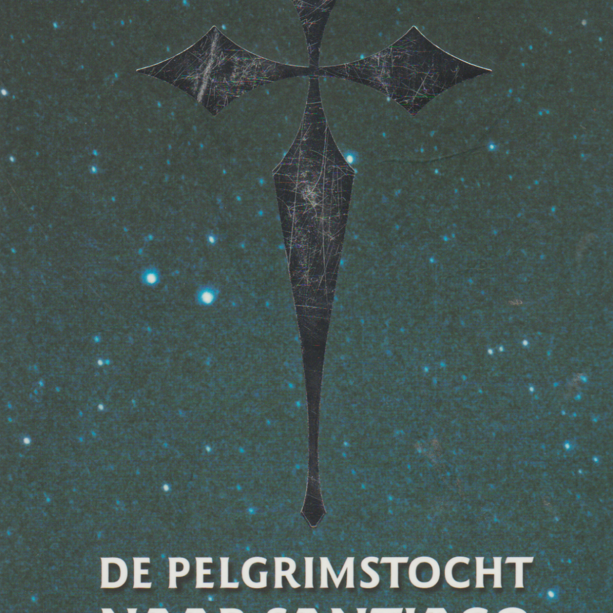 De pelgrimstocht naar Santiago - Dagboek van een magiër -