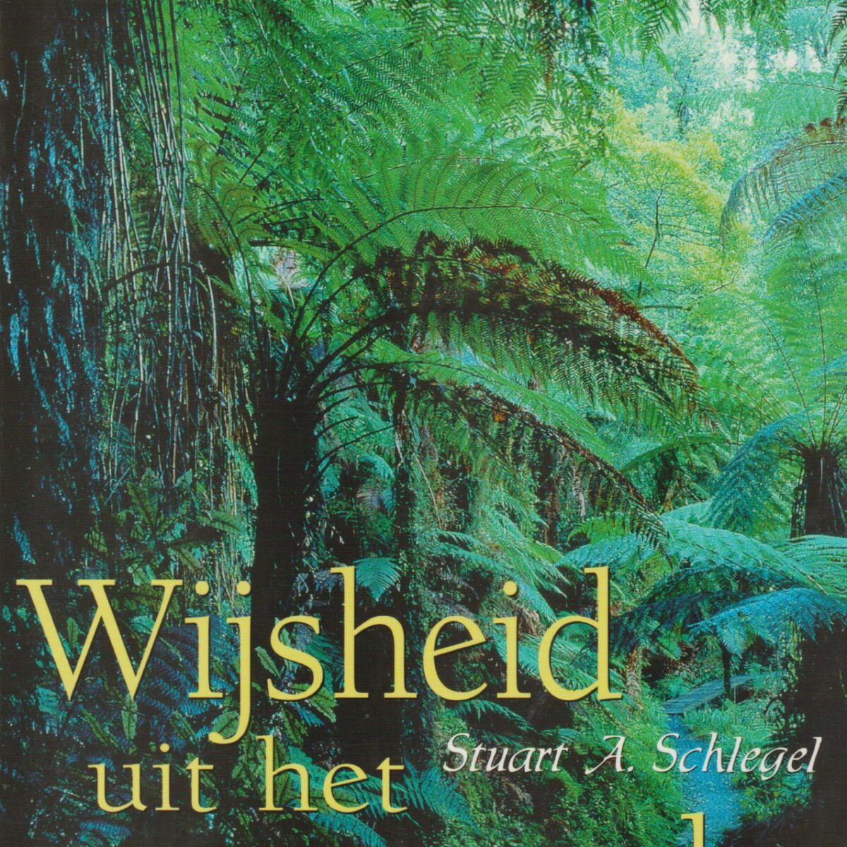 Wijsheid uit het regenwoud