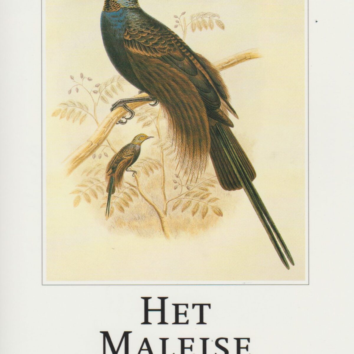 Het Maleise eilandenrijk