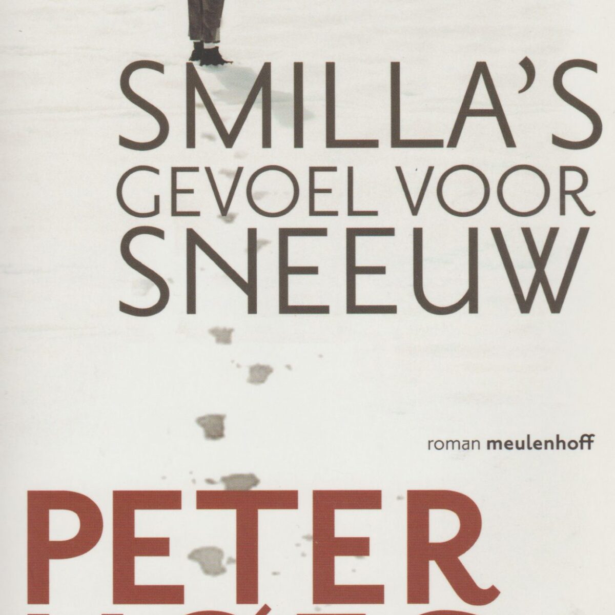 Smilla's gevoel voor sneeuw