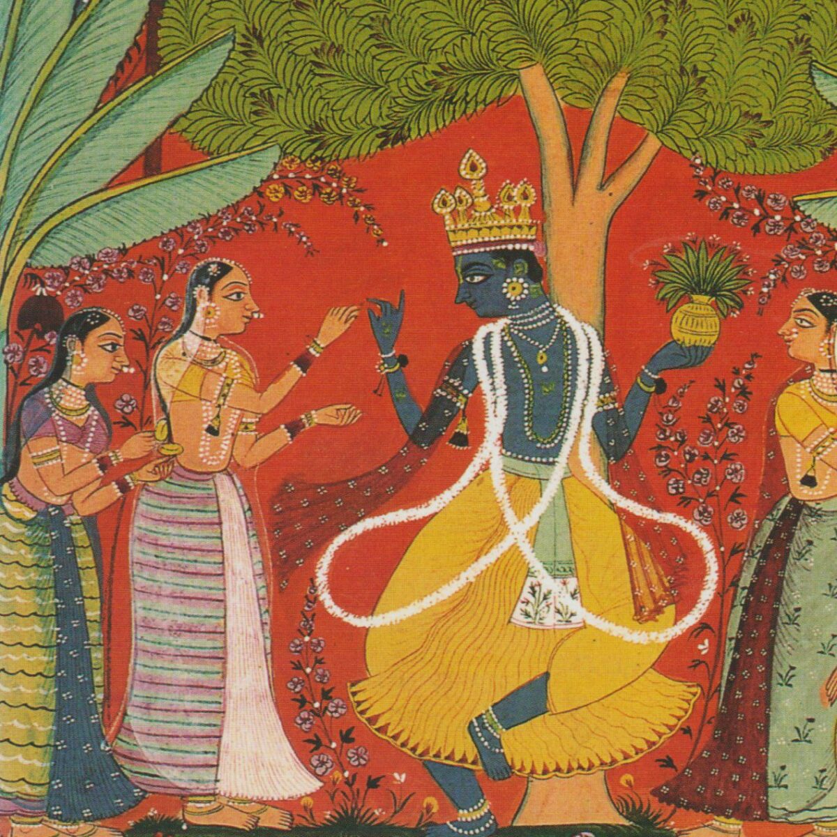 De goeroe in de guaveboom