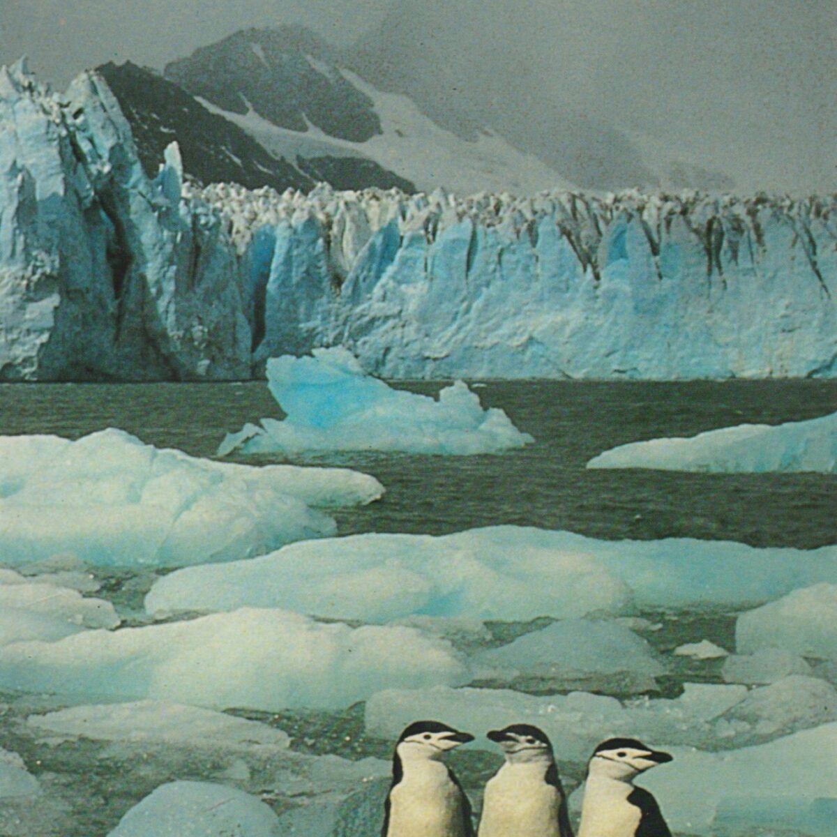 Scan_20191124-4-scaled Of Ice and Men - The Story of the British Antarctic Survey 1943-73 -