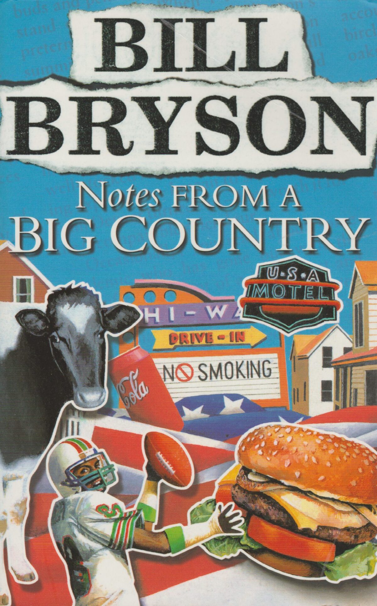 Notes from a big country