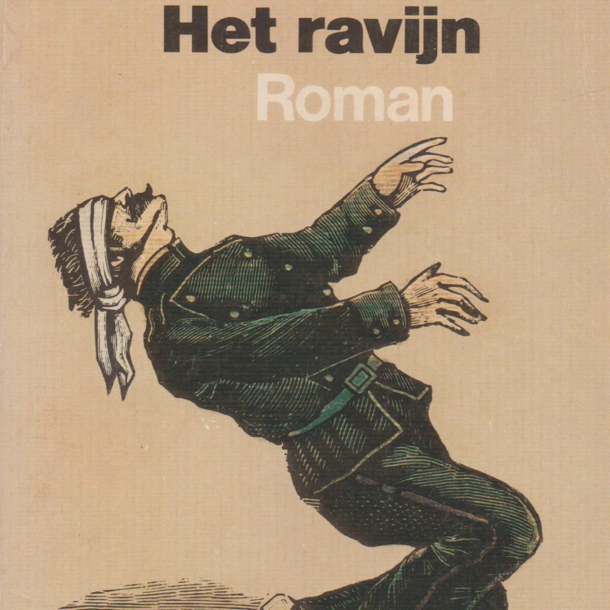 Het ravijn