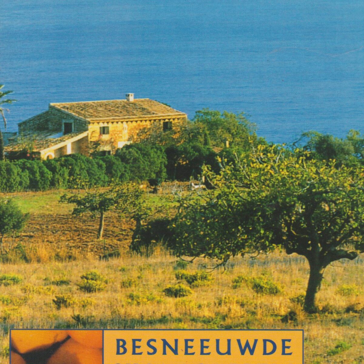 Besneeuwde sinaasappels - Een winter op Mallorca -