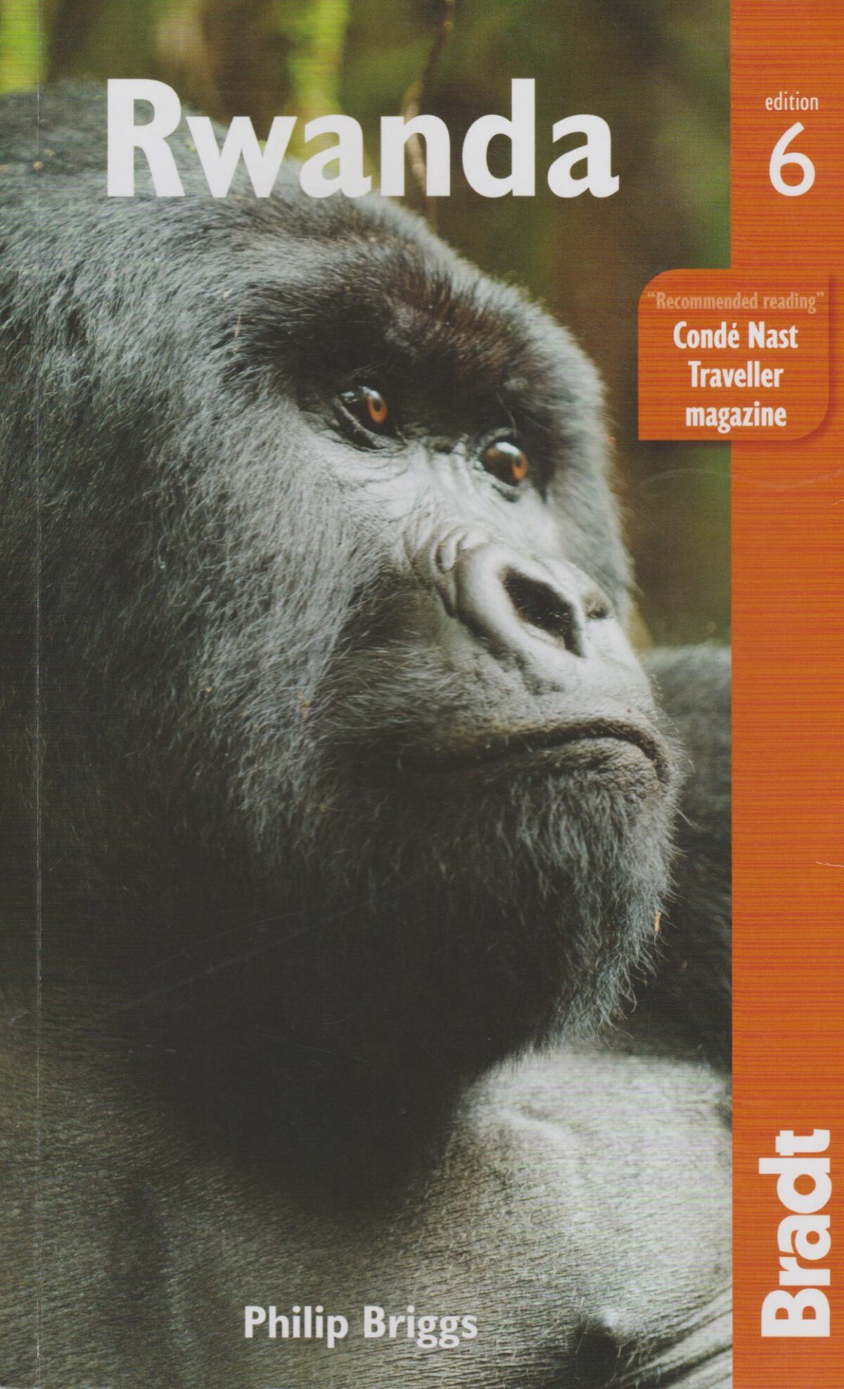 Scan_20200129-5-scaled Rwanda - Bradt -