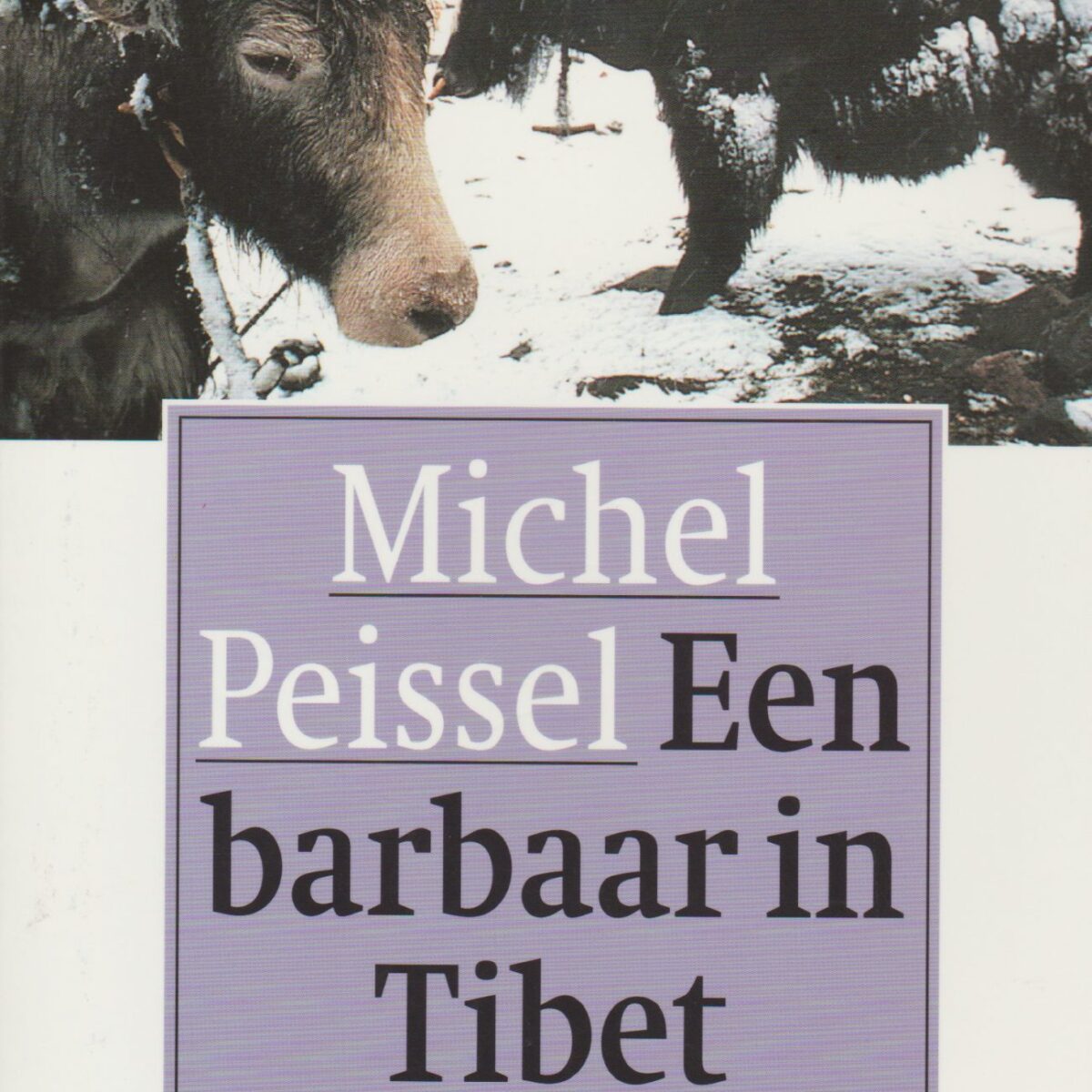 Een barbaar in Tibet