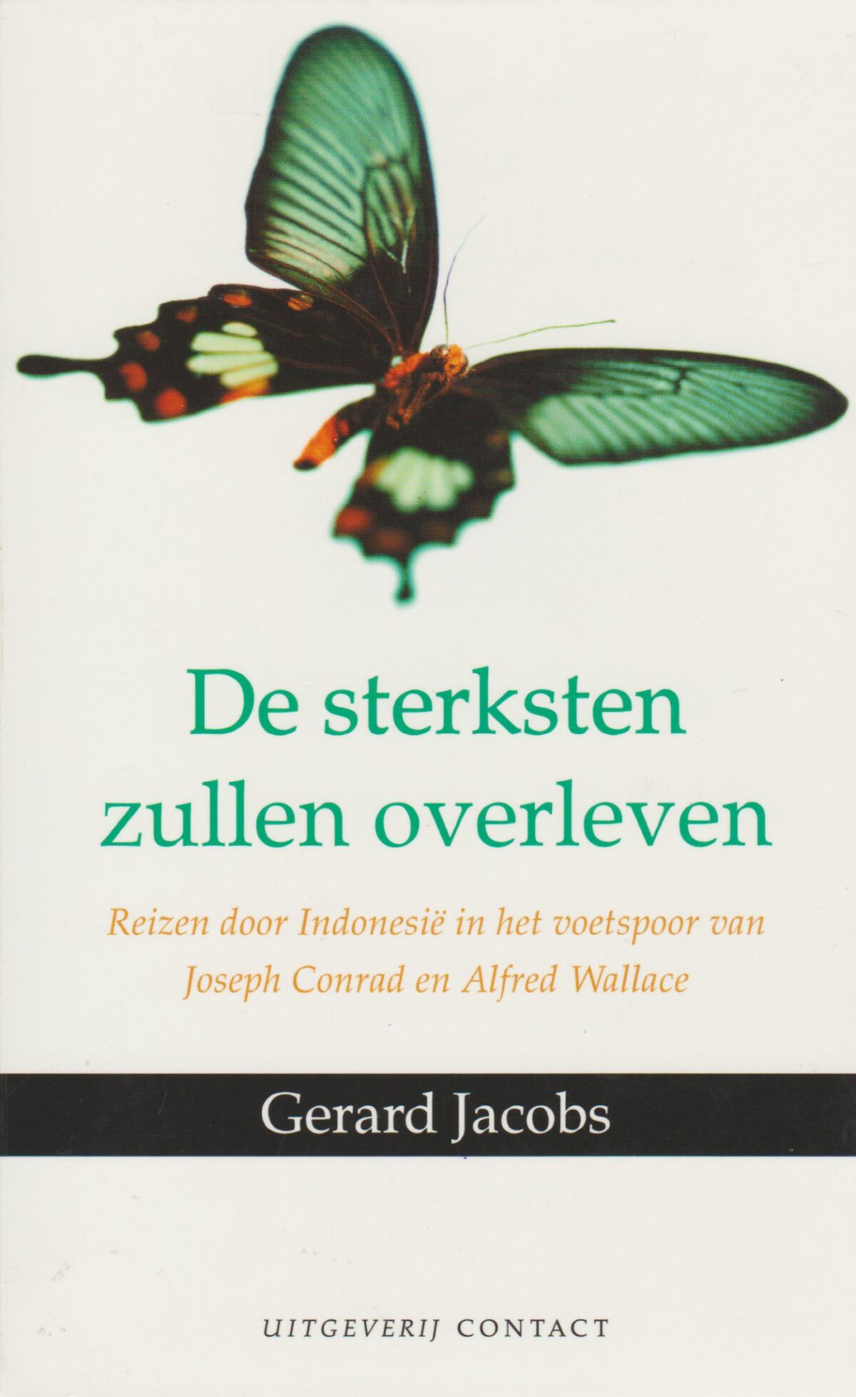 Scan_20200420-scaled De sterksten zullen overleven