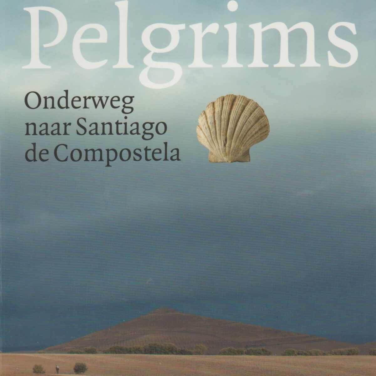 Pelgrims - Onderweg naar Santiago de Compostela -