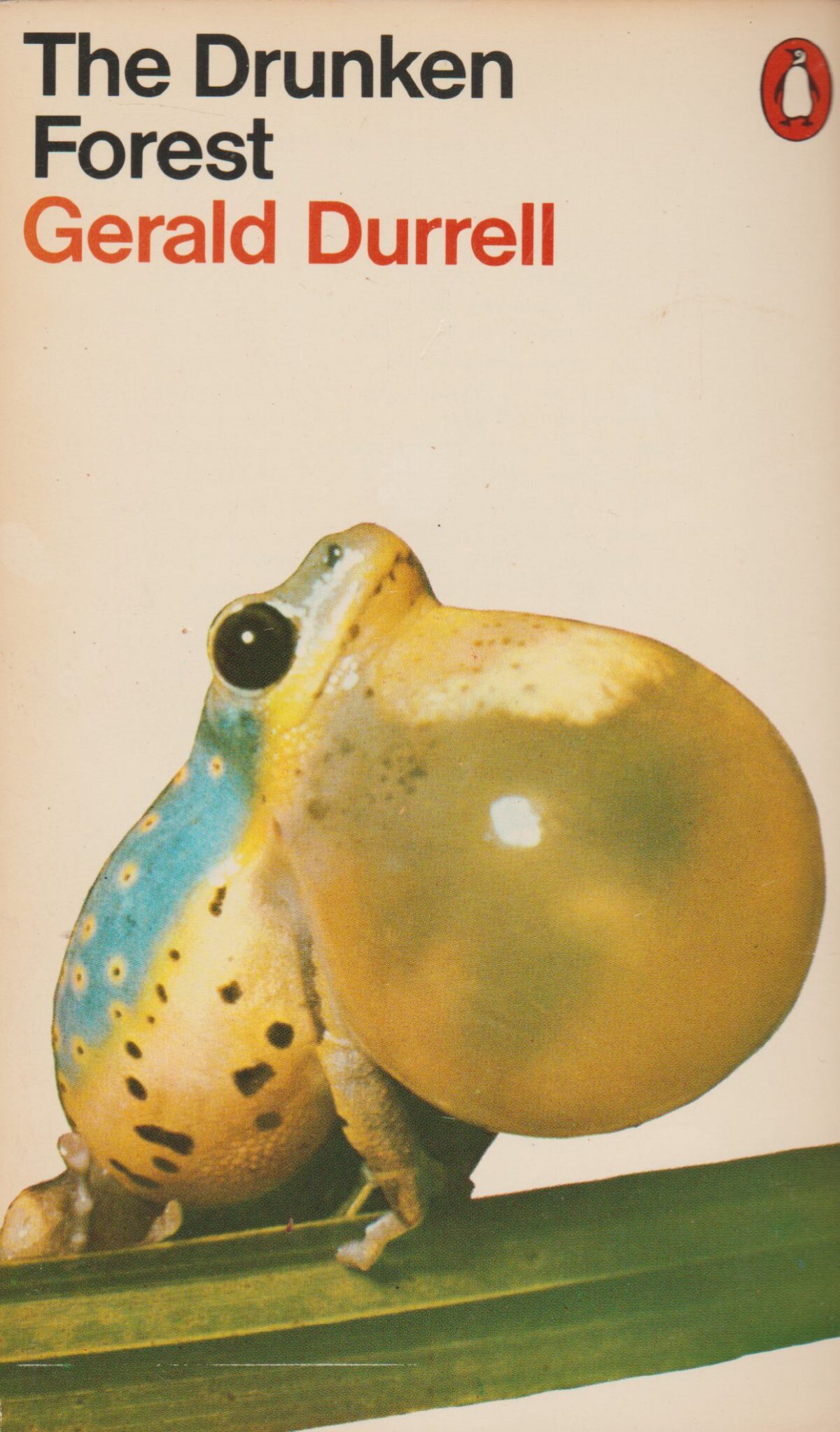 Scan_20200514-7-scaled The Drunken Forest