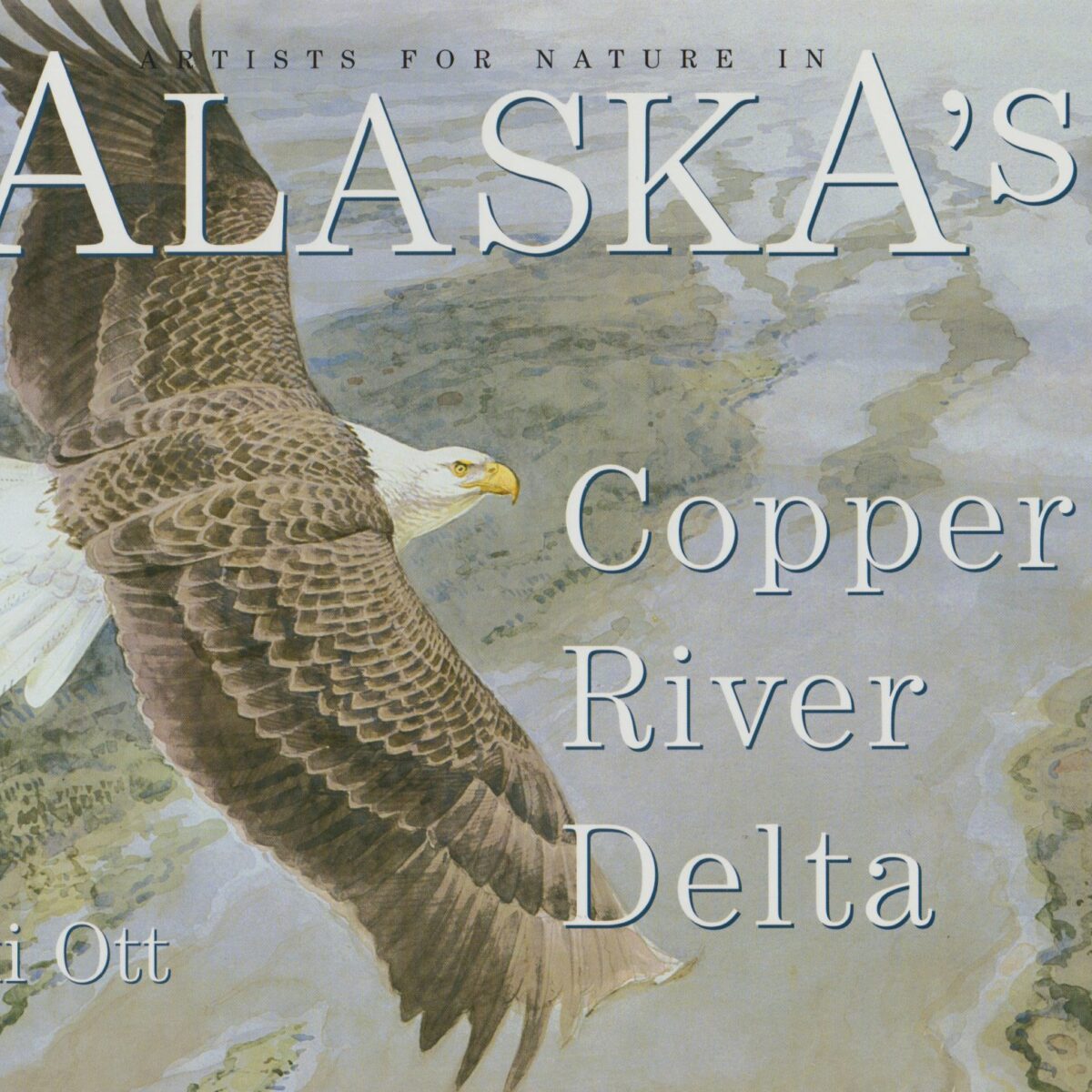 Artists for nature in Alaska's Copper River Delta
