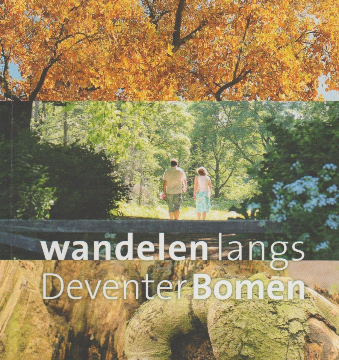 Wandelen langs Deventer Bomen