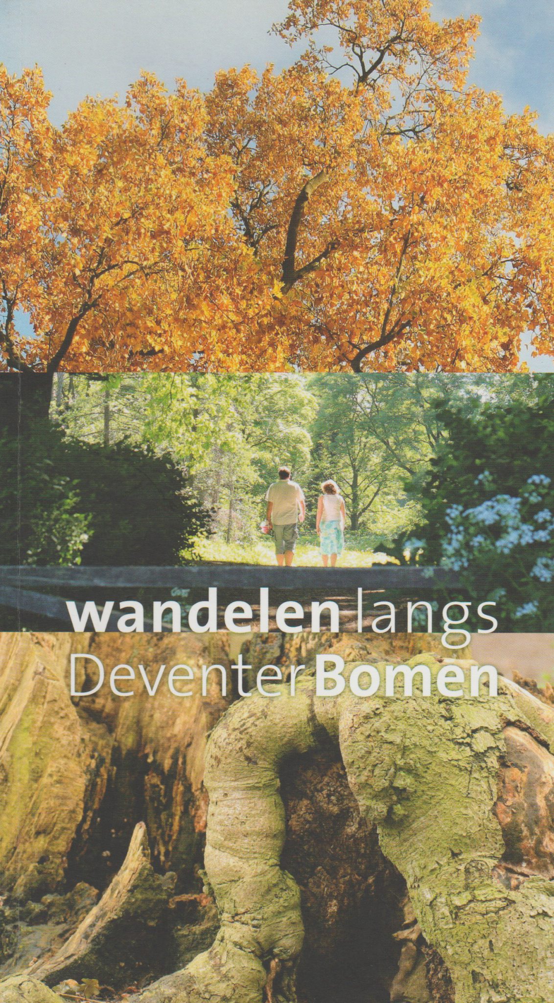 Scan_20200523-4-scaled Wandelen langs Deventer Bomen