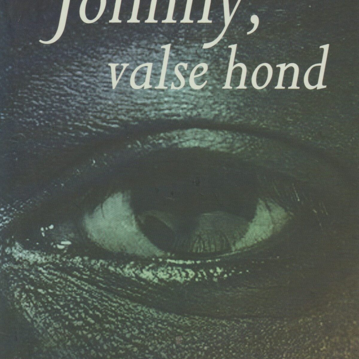 Johnny, valse hond - Het aangrijpende verhaal van een kindsoldaat en een gevlucht meisje -