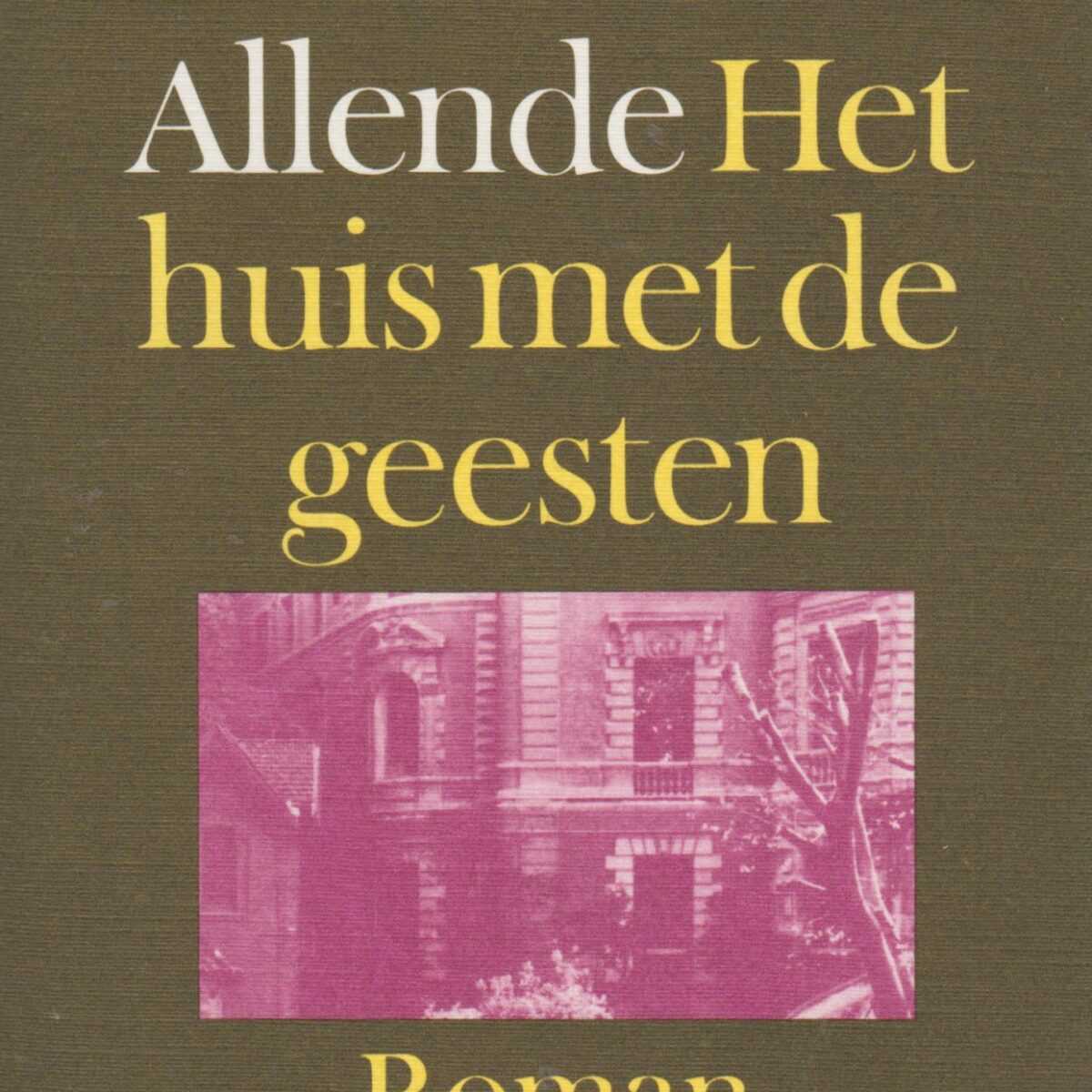 Scan_20201004-3-scaled Het huis met de geesten