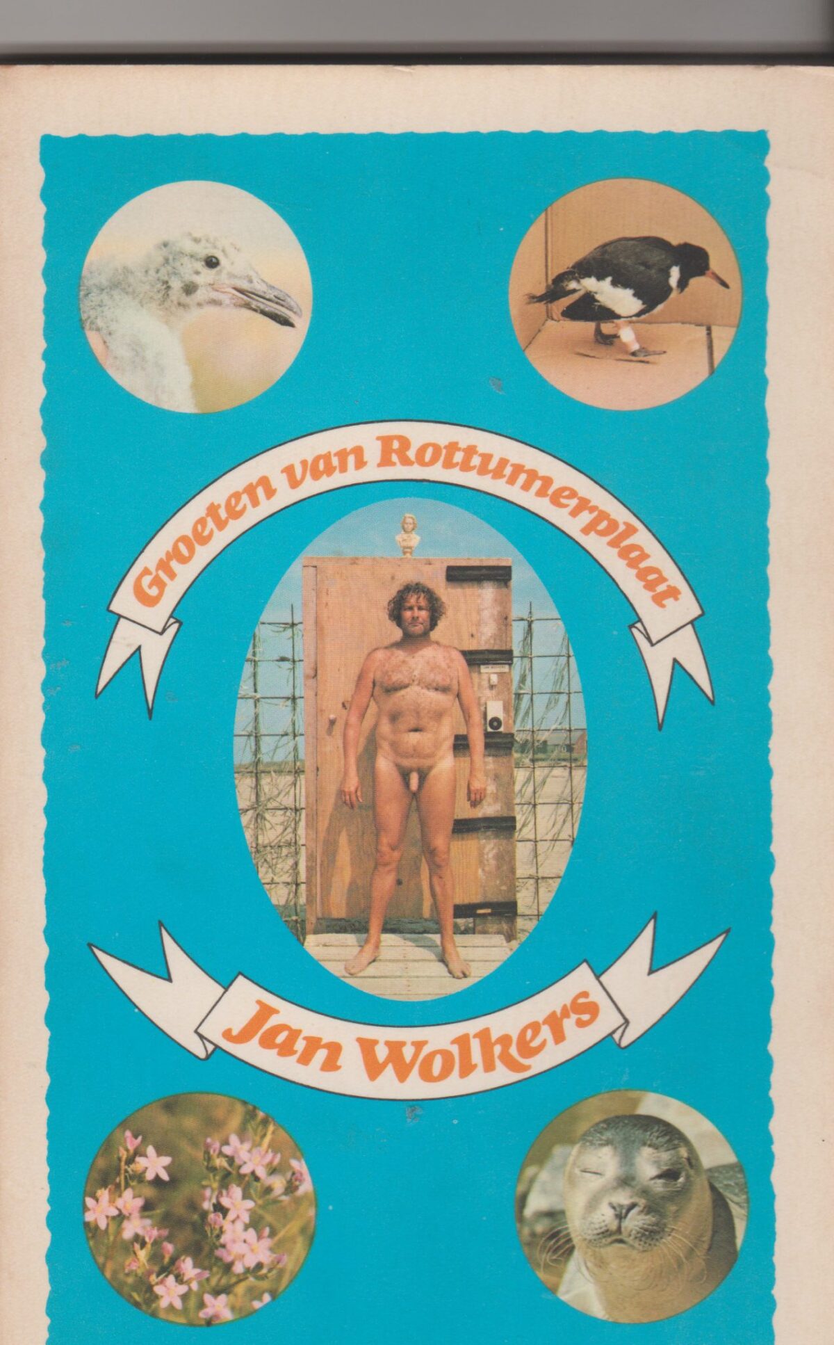 Groeten van Rottumerplaat