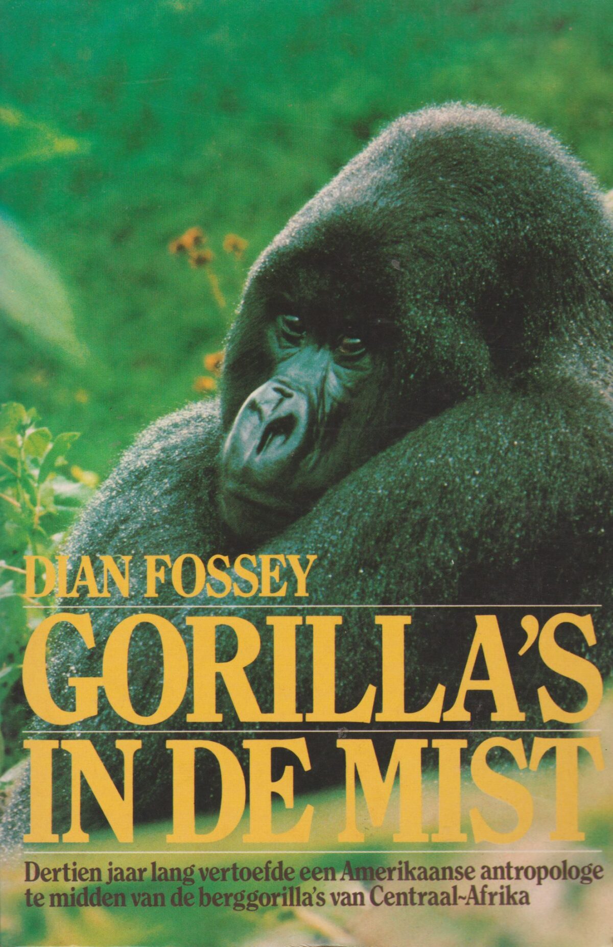 Scan_20201011-4-scaled Gorilla's in de mist