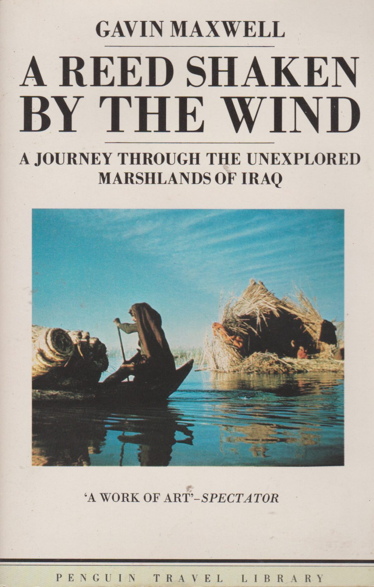 Scan_20201119-scaled A Reed Shaken by the Wind - A Journey through the Unexplored Marshlands of Iraq -