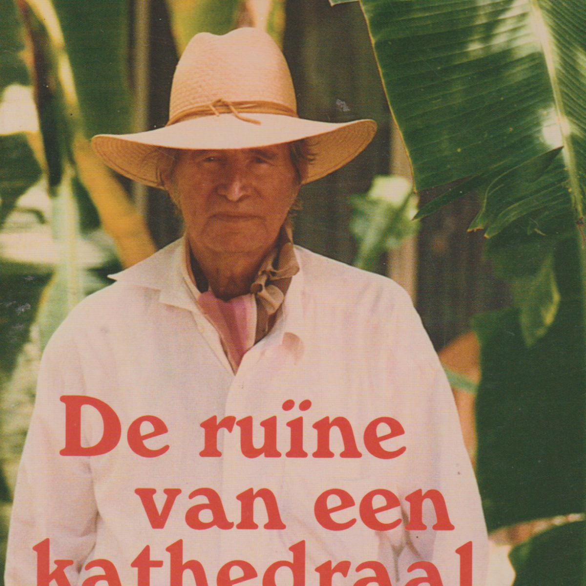 De ruïne van een kathedraal - Verhalen -