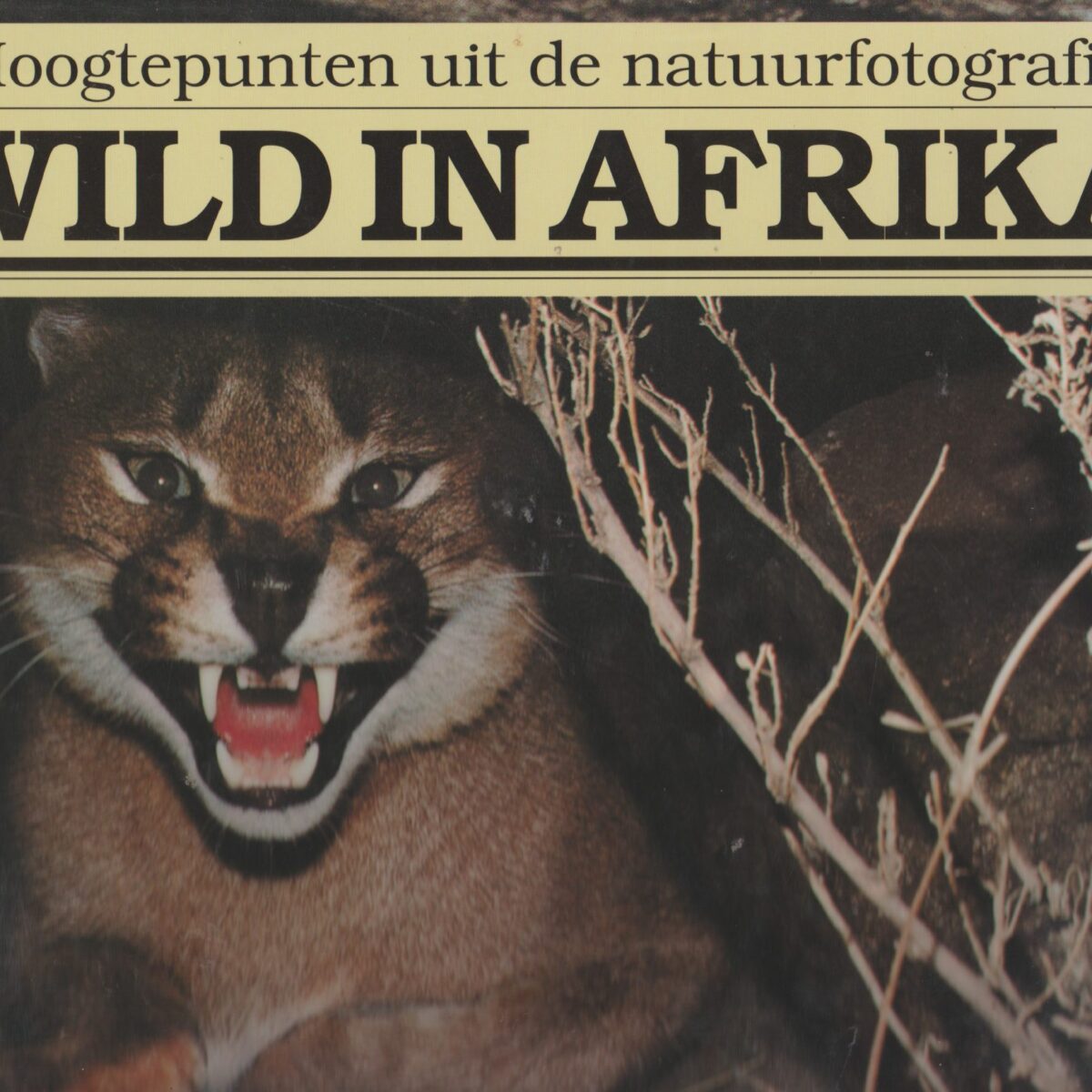 Wild in Afrika - Hoogtepunten uit de natuurfotografie -