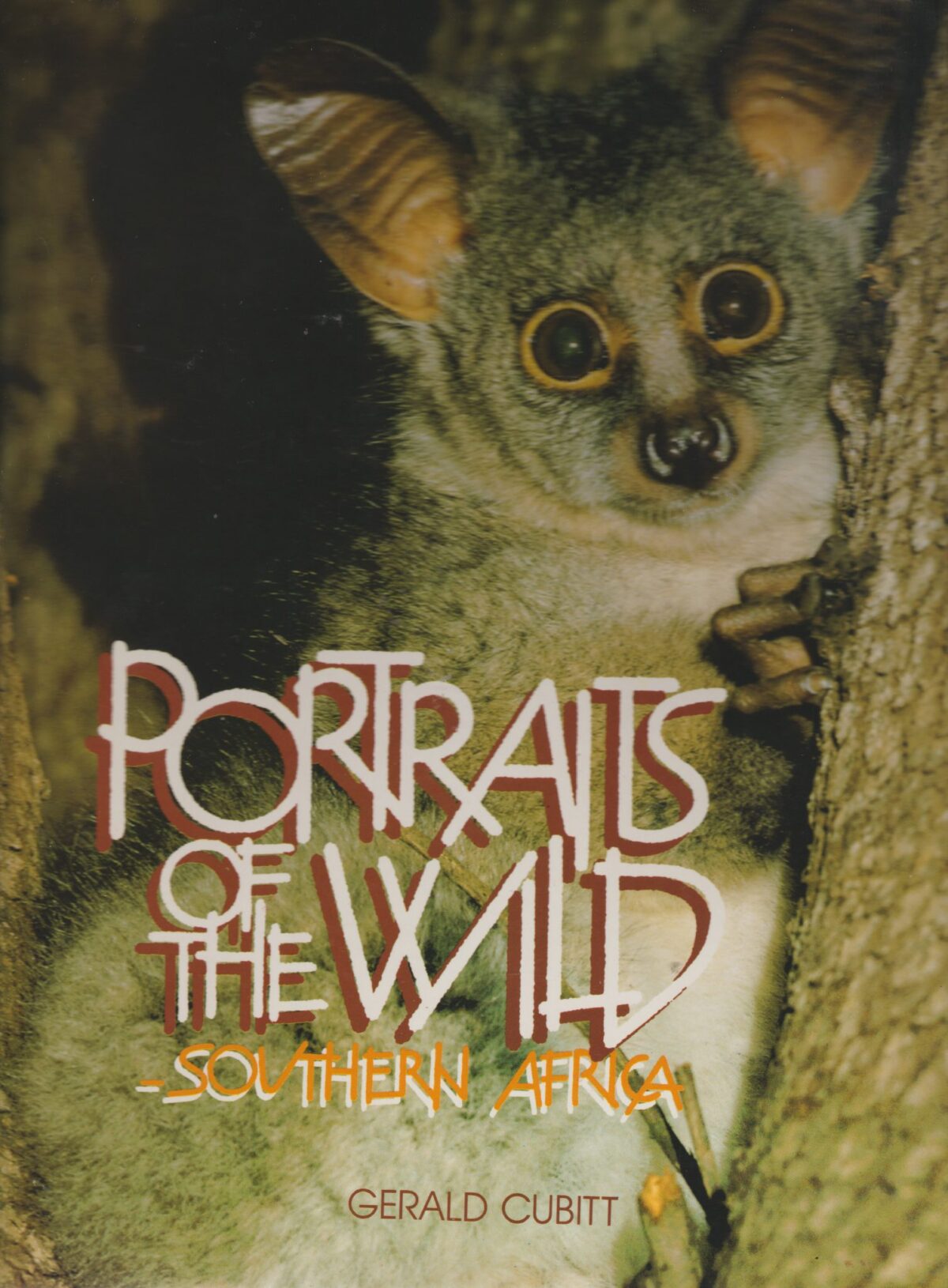 Scan_20210220-9-scaled Portraits of the Wild - Southern Africa -