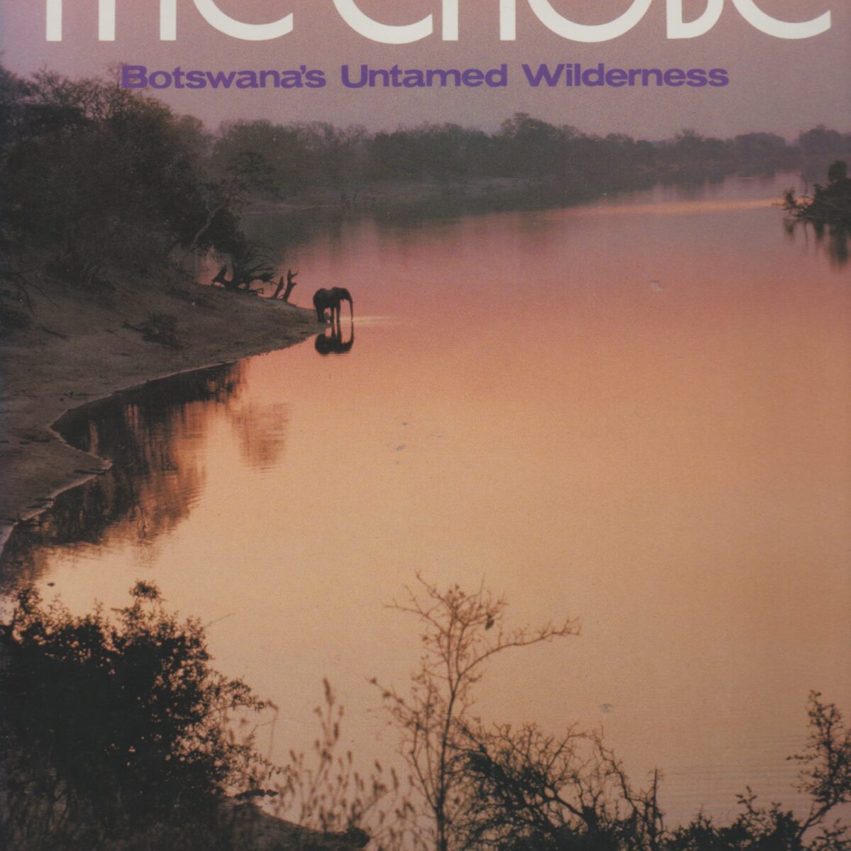 The Lions and Elephants of The Chobe - Botswana's Untamed Wilderness -