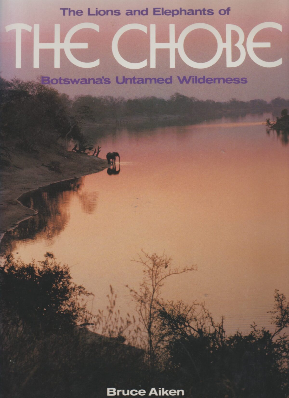 Scan_20210221-2-scaled The Lions and Elephants of The Chobe - Botswana's Untamed Wilderness -