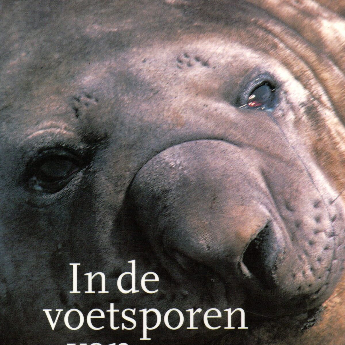 Scan_20211020-6-scaled In de voetsporen van Shackleton - De dwaze gekte en de alledaagse gewoonheid van de antarctische cultuur -