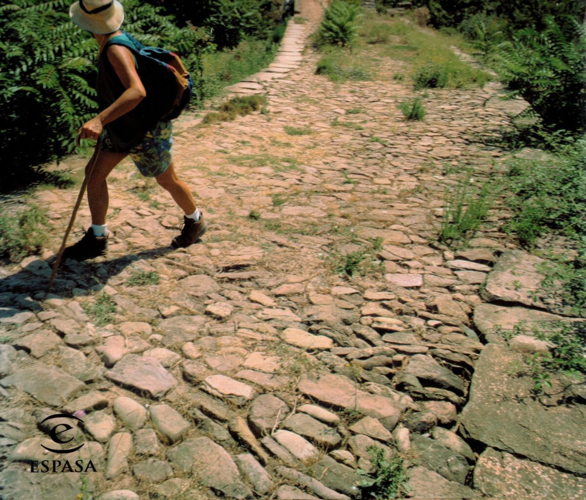 El Camino de Santiago
