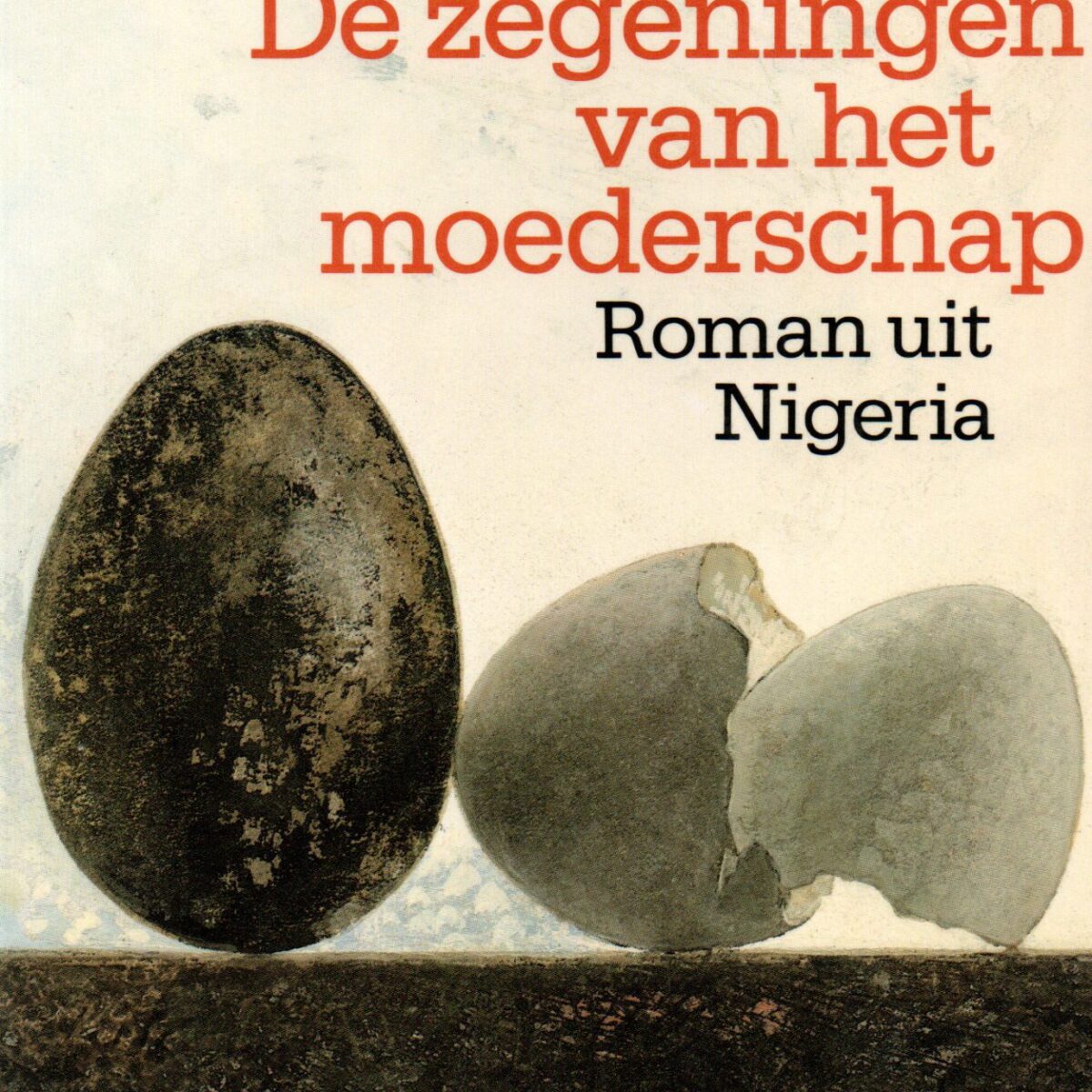 De zegeningen van het moederschap - Roman uit Nigeria -