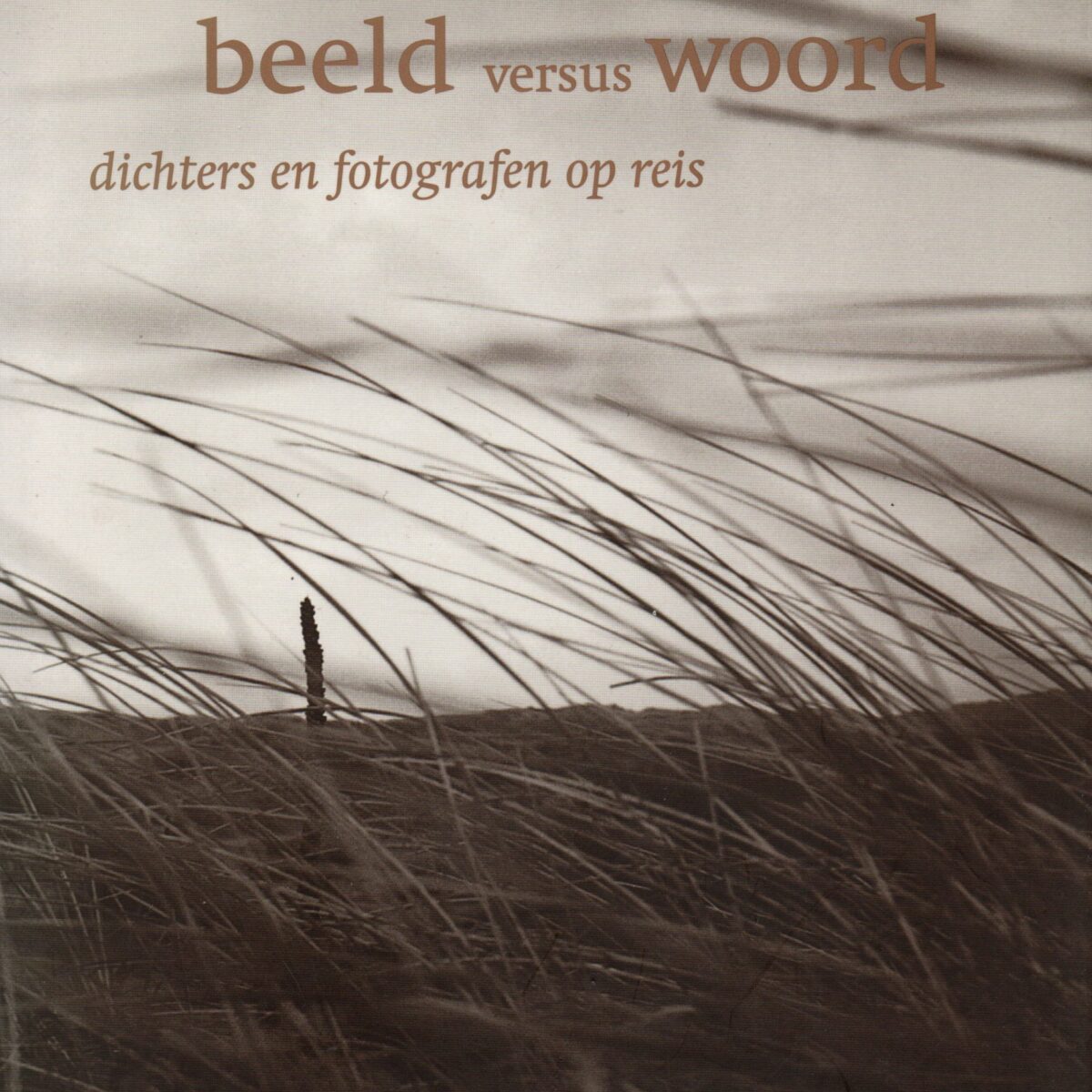 Beeld versus woord - dichters en fotografen op reis -