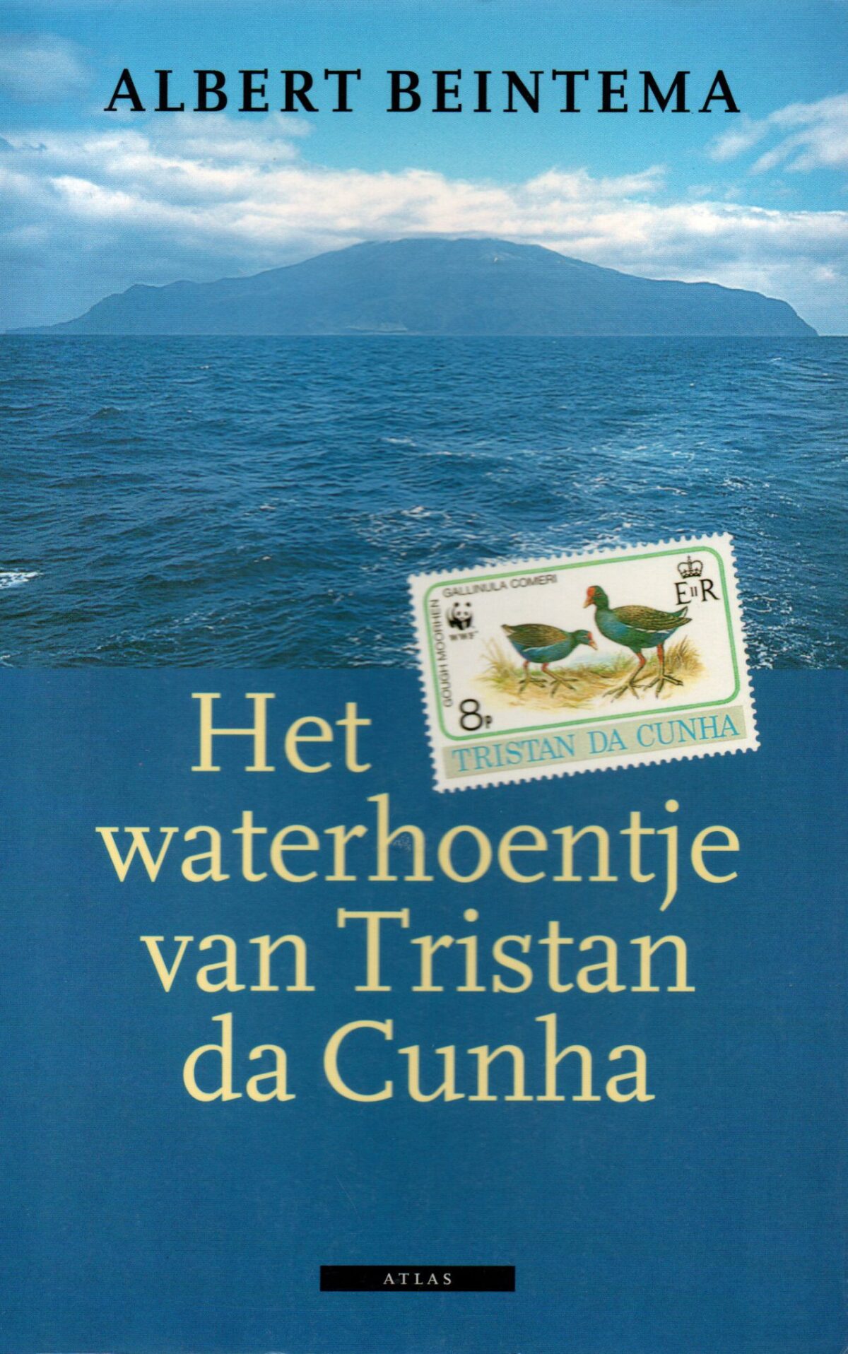 Scan_20220212-7-scaled Het waterhoentje van Tristan da Cunha