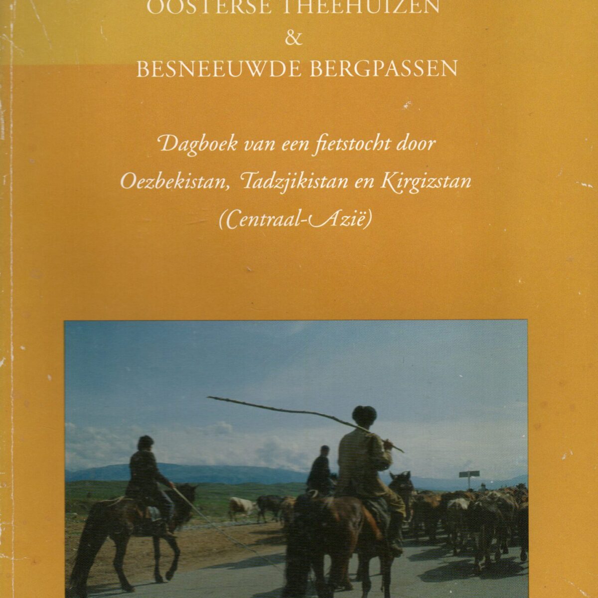 Oosterse theehuizen & besneeuwde bergpassen - Dagboek van een fietstocht door Oezbekistan, Tadzjikistan en Kirgizstan (Centraal-Azië) -