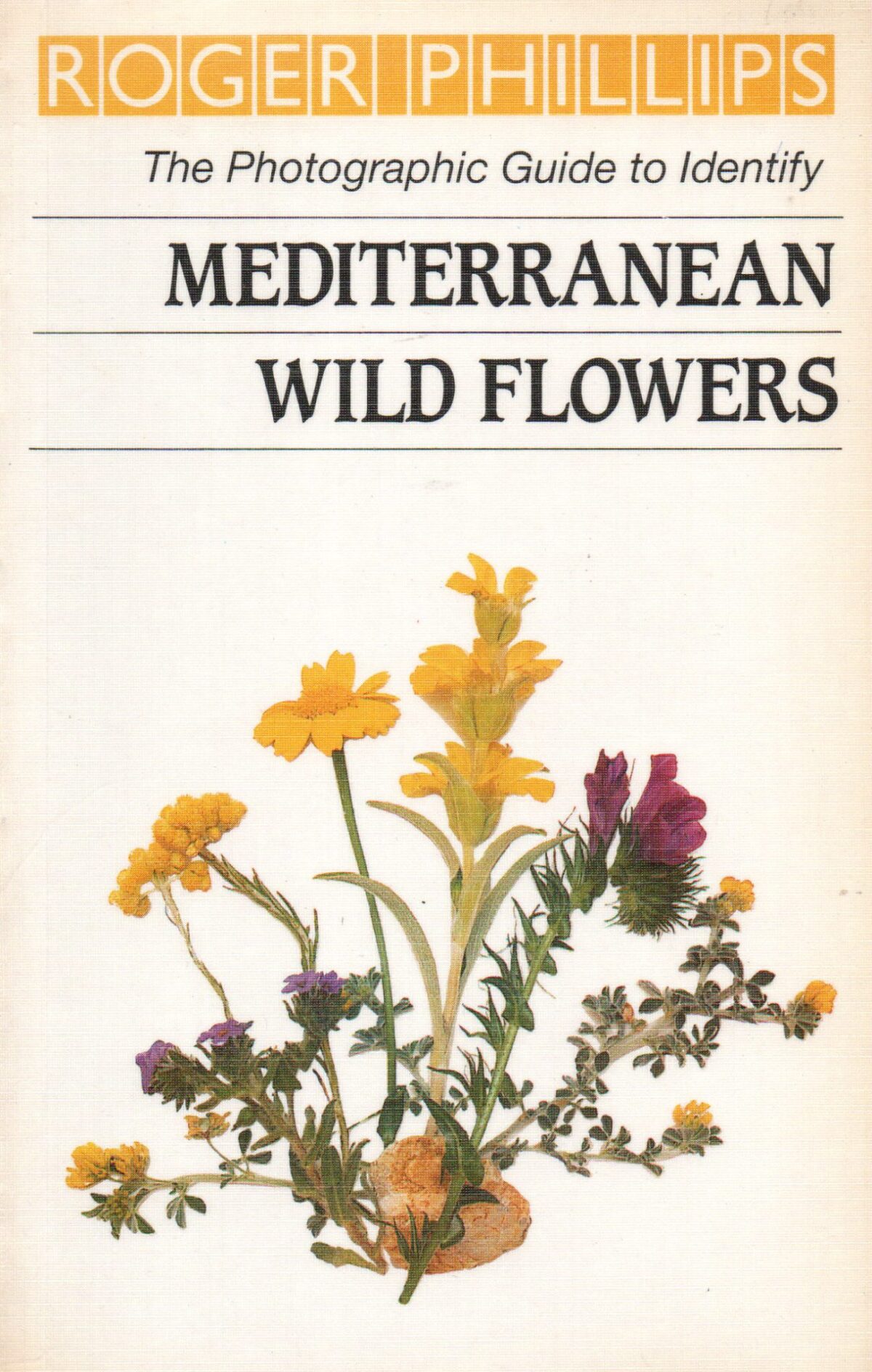 Scan_20220810-10-scaled The Photographic Guide to Identify Mediterranean Wild Flowers