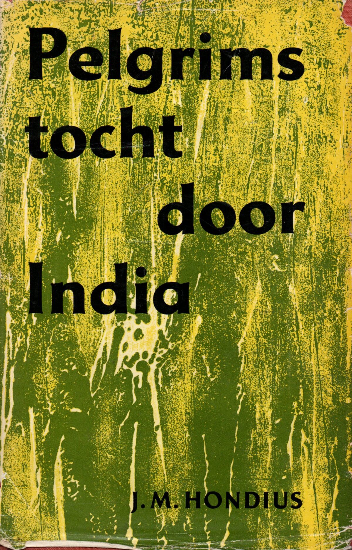 Scan_20220814-2-1-scaled Pelgrimstocht door India